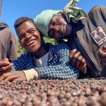 Pracovníci farmy Dimtu Coffee pri spracovaní Ethiopia Guji