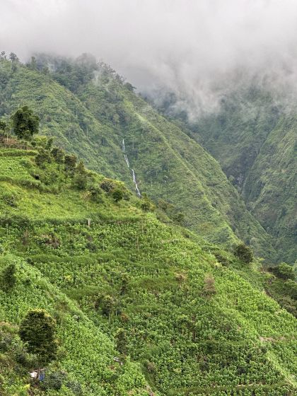 Horská kávová plantáž v oblasti Argopuro Walida v Indonézii – pestovanie výberovej zrnkové kávy Indonesia Flowertron